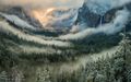 Górskie lasy Revar.jpg